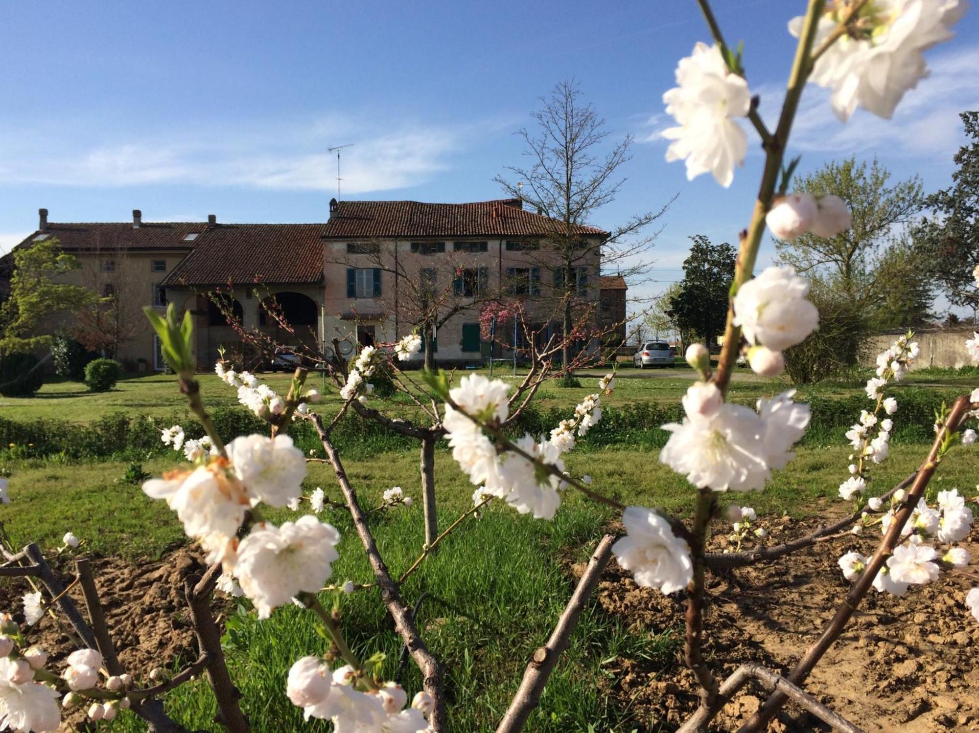 Fattoria Del Soul Hotel Bosco Marengo Buitenkant foto