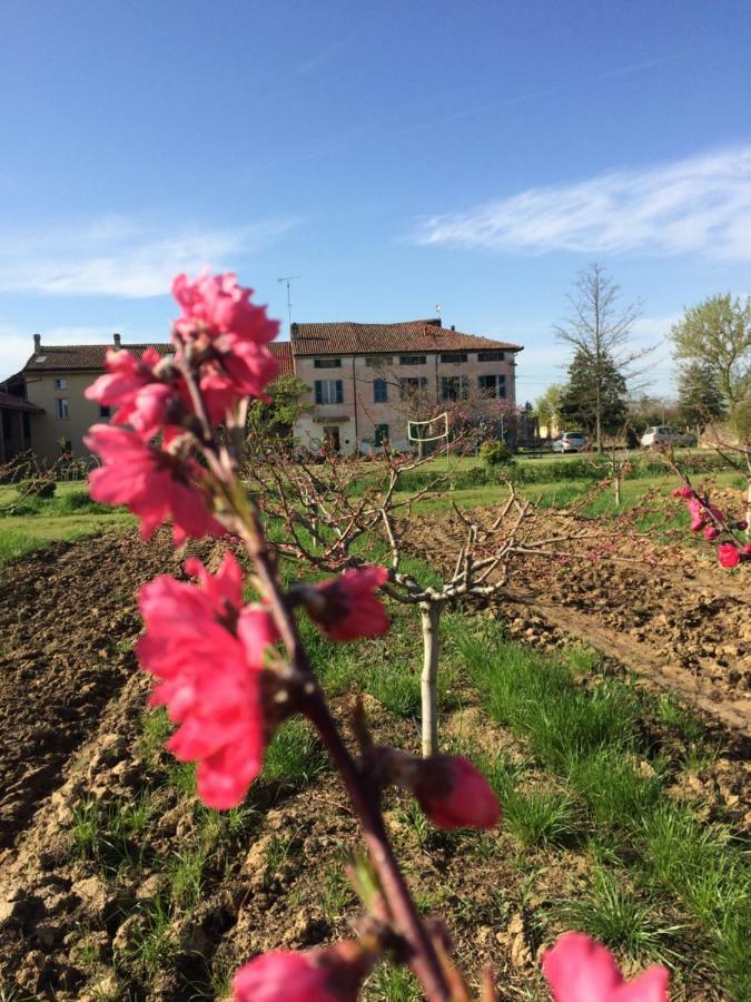 Fattoria Del Soul Hotel Bosco Marengo Buitenkant foto
